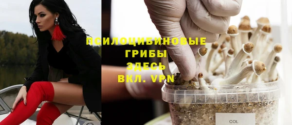 mdpv Аркадак