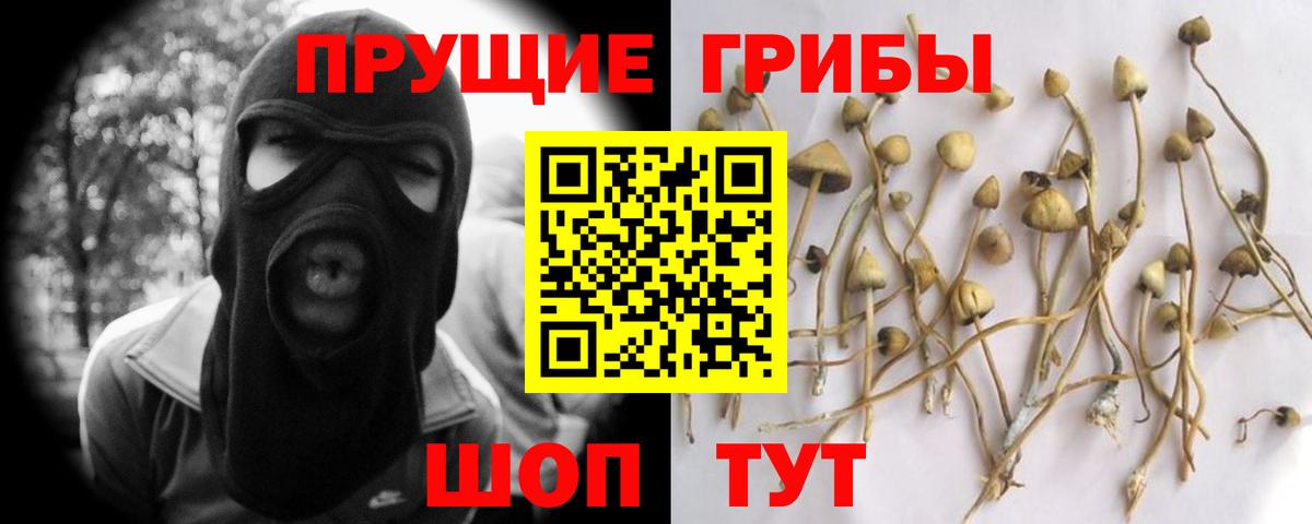 Галлюциногенные грибы Magic Shrooms  Псилоцибиновые грибы мухоморы  Тейково  Вход с VPN 
